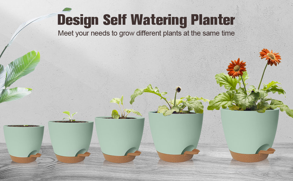 Pot à herbes avec système d'irrigation