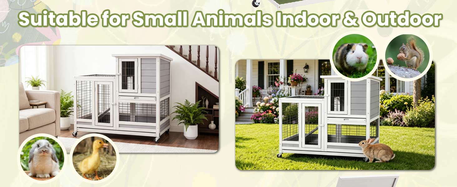 aplus content image