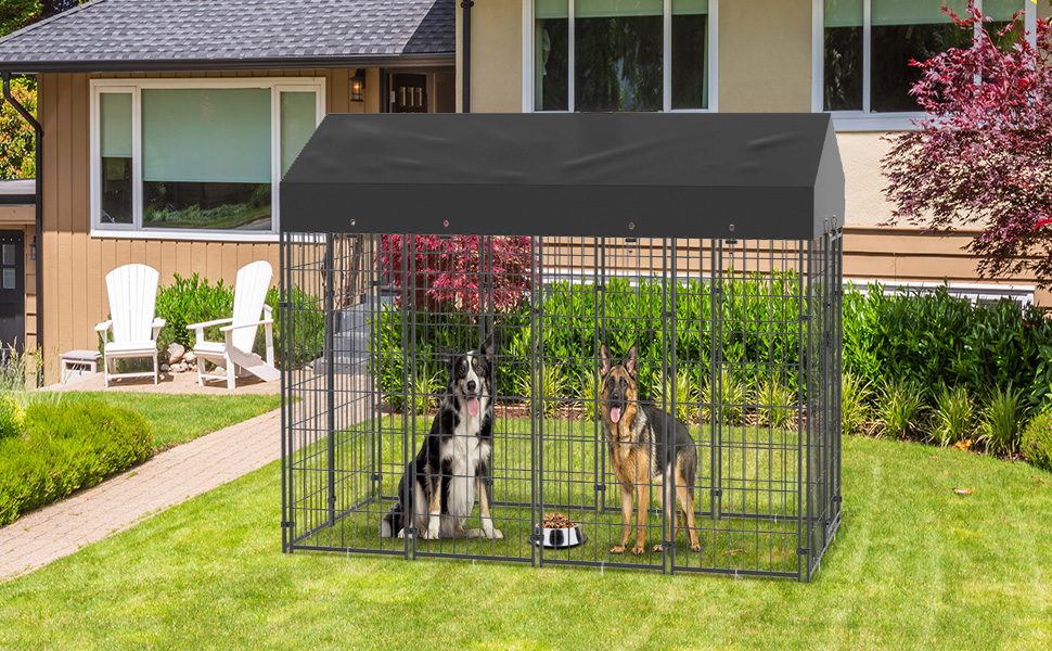 Canile da Esterno con Tetto Robusto Sicuro con Serratura Box Gabbia Protezione Recinzione per Cani