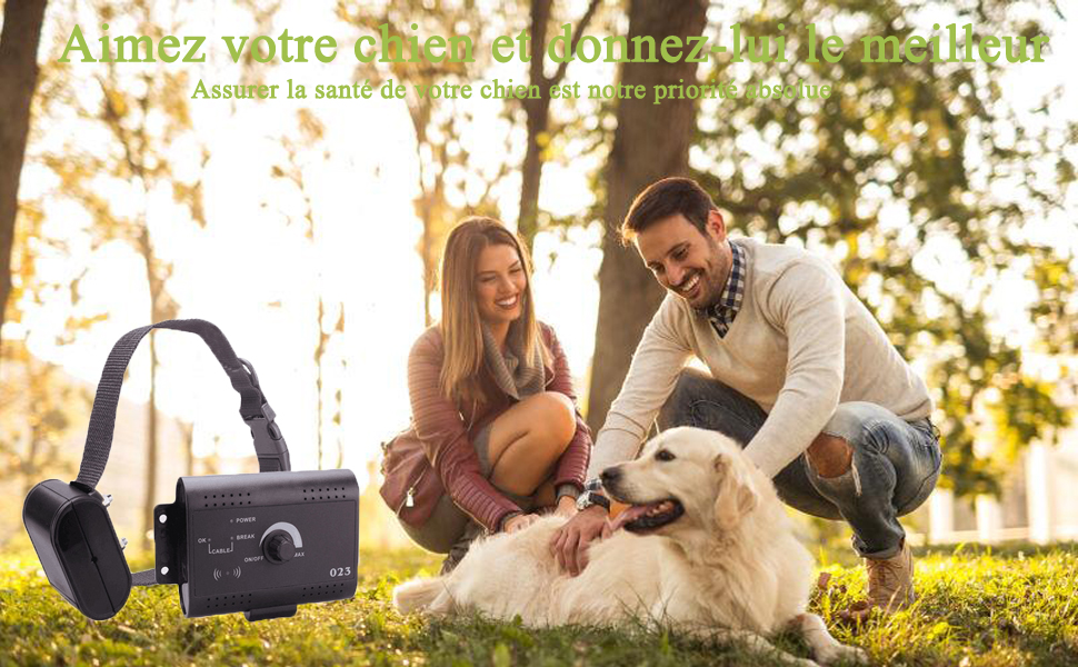 collier anti fugue sans fil chien