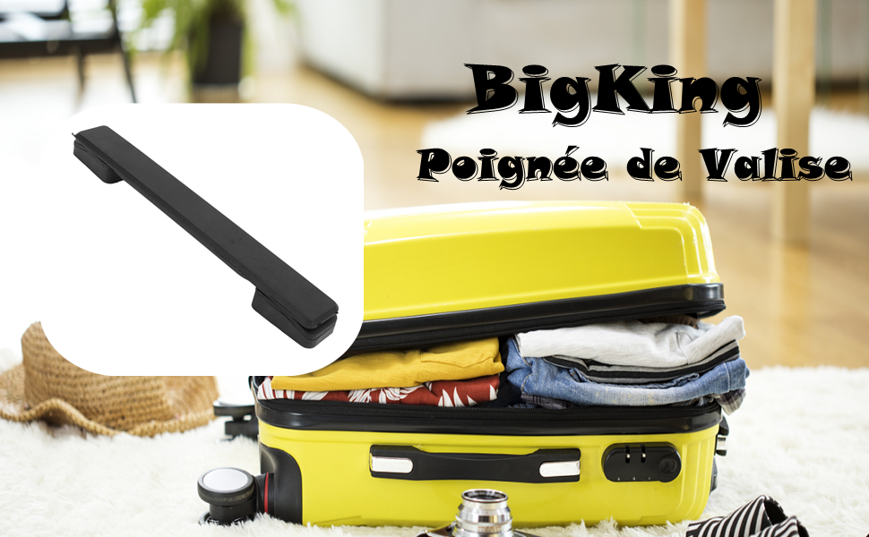 Poignée de Valise