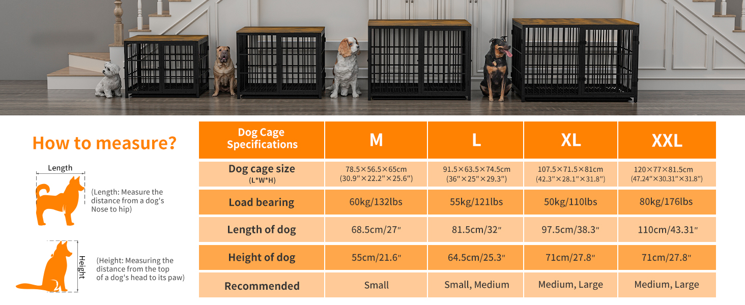 Bingopaw Gabbia Cani per interno: Kennel Cani Taglia Grande in Legno