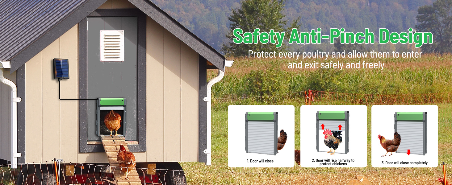 Automatic Chicken Coop Door
