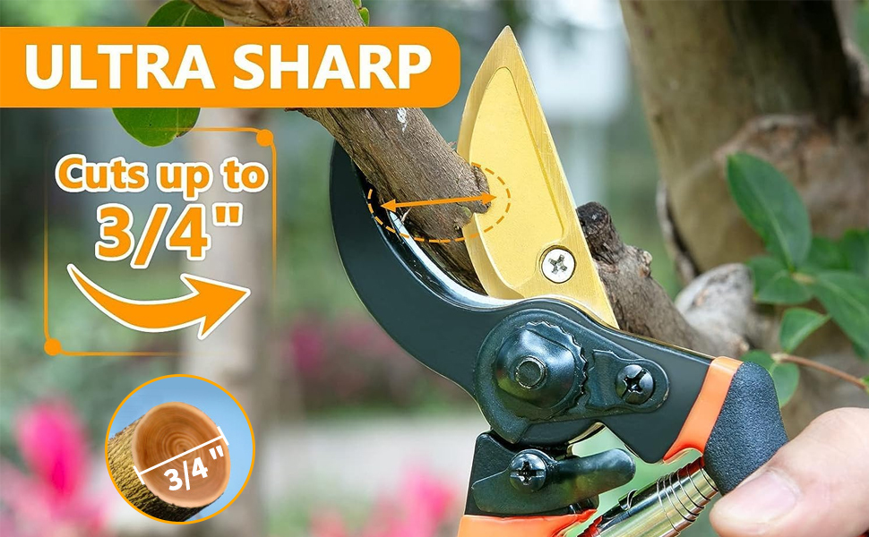 Gartenschere