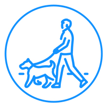 Asiento para perro