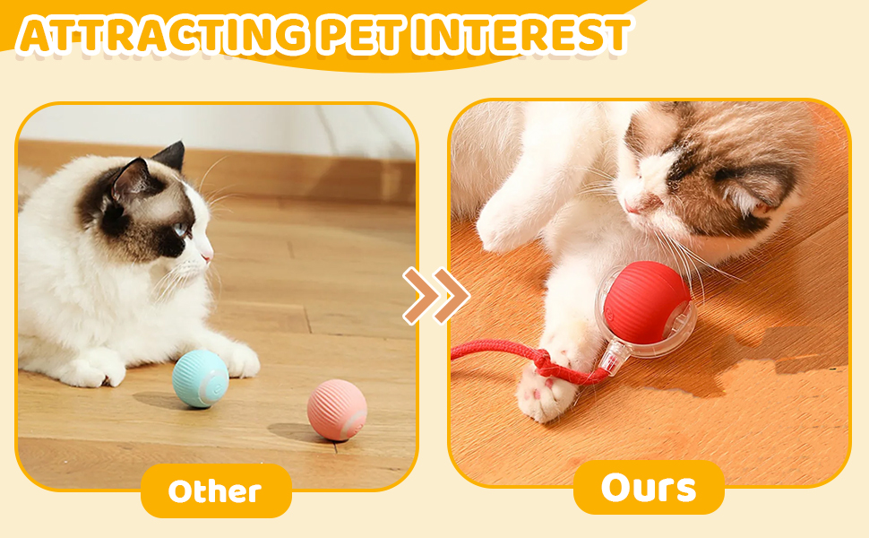 Vergleich von Katzenspielzeug: Links ist eine Katze mit kleinen farbigen Bällen zu sehen. Rechts ist eine Katze zu sehen, die mit einem roten Ball an einer Schnur spielt und dadurch ein gesteigertes Interesse zeigt.
