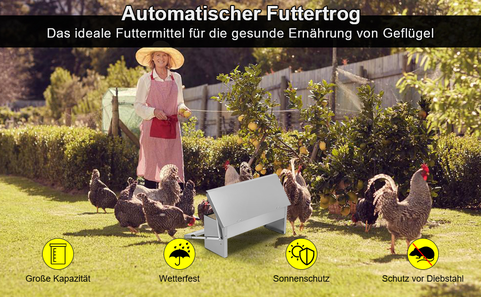 Mangeoire automatique pour poules