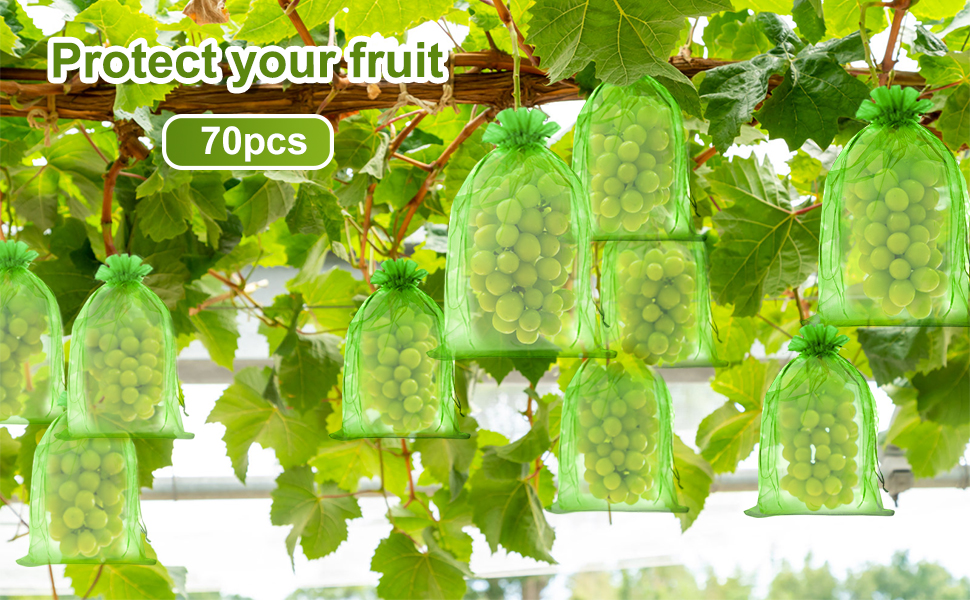 Sac de Protection de Raisin