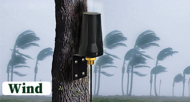 the best outdoor lighting fixtures for your home