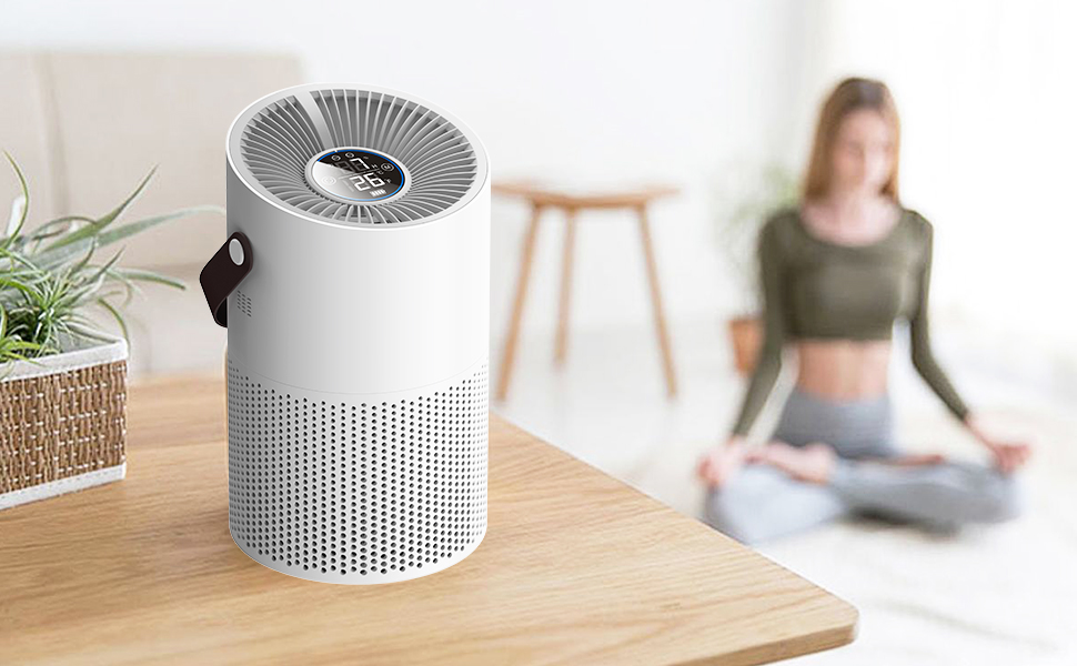 Purificadores de aire HUIQIMEI para el hogar