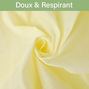 Voile Hivernage Plante Exterieur, 2 Pièces Housse Hivernage pour Plantes
