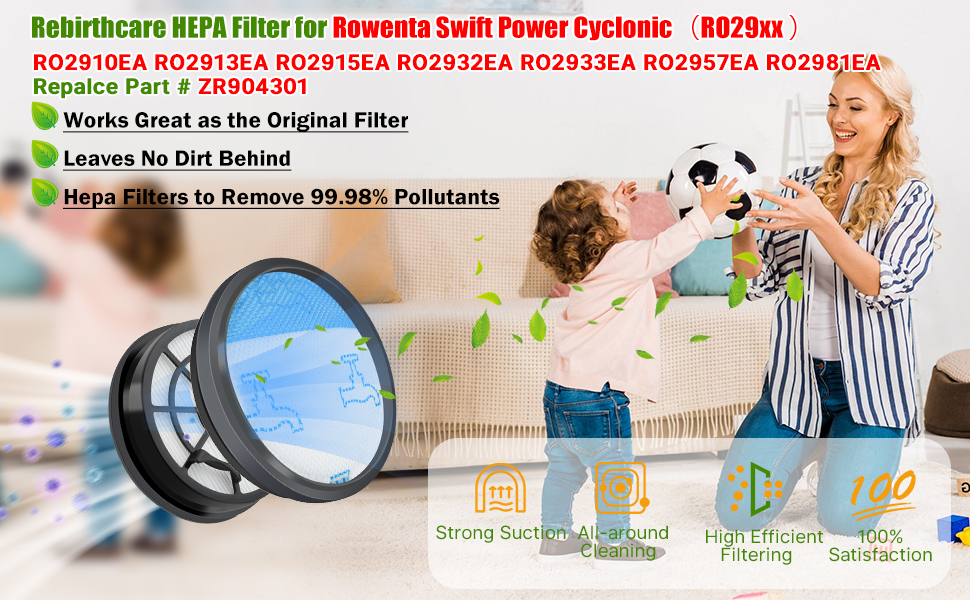 Rowenta RO2981EA Filtre