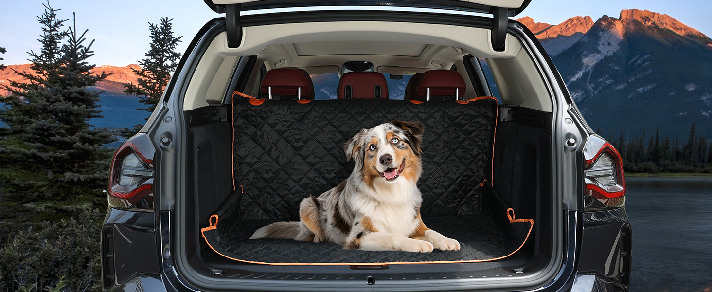 Series of images showing SUV cargo area with mountains in background, featuring golden retriever in various poses inside vehicle.