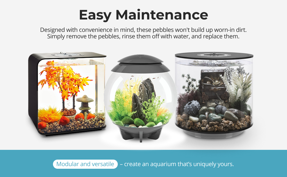 Text reads: 'Easy Maintenance' and 'Designed with convenience in mind, these pebbles aren't built up even in dirt. Simply remove the pebbles, rinse them off with water, and replace them.' Three glass terrariums with different themed environments shown.