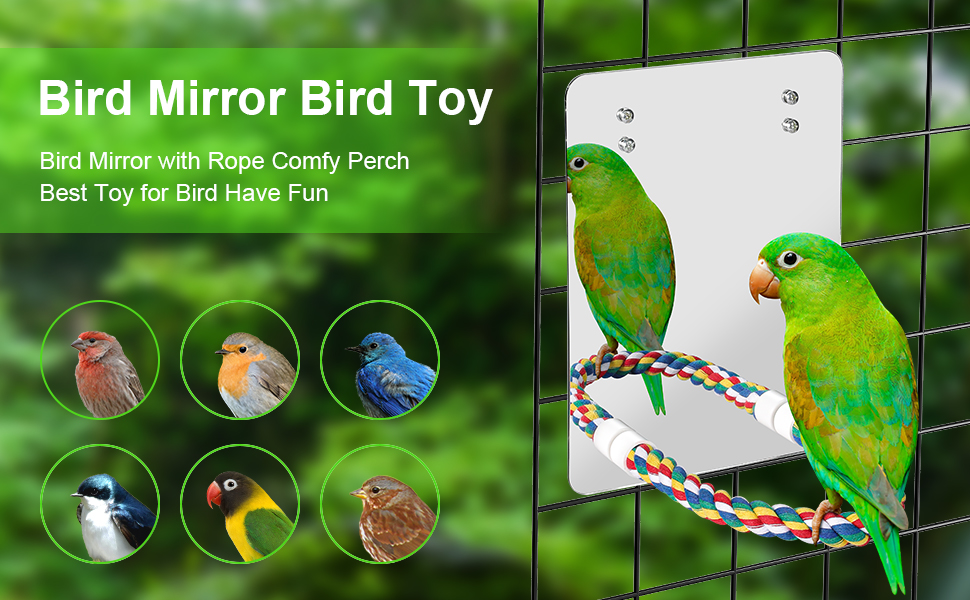 Text reads 'Bird Mirror Bird Toy' and 'Bird Mirror with Rope Comfy Perch Best Toy for Bird Have Fun'. Product image shows mirror toy with rope perch and six circular thumbnails showing different birds.