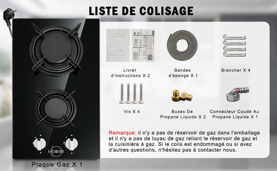 plaque de cuisson gaz 2 feux