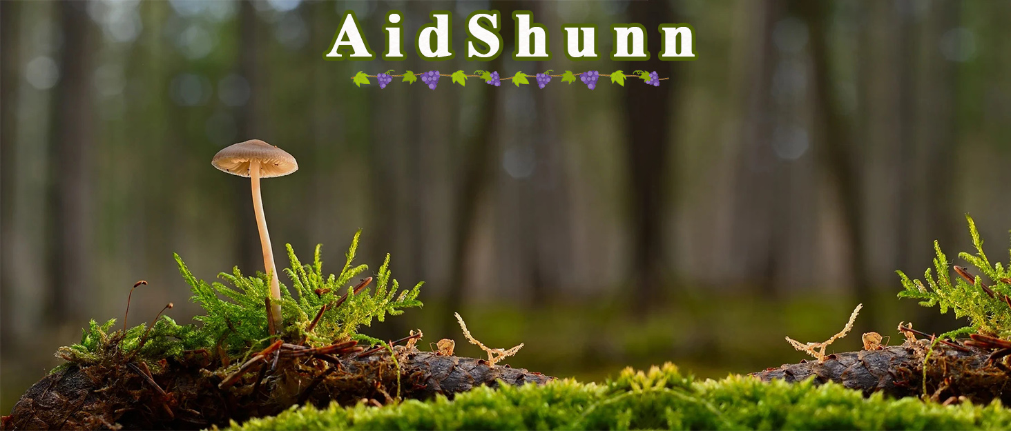 Close-up of forest floor with small mushroom growing among moss and twigs. Text 'AidShunn' visible at top of image.