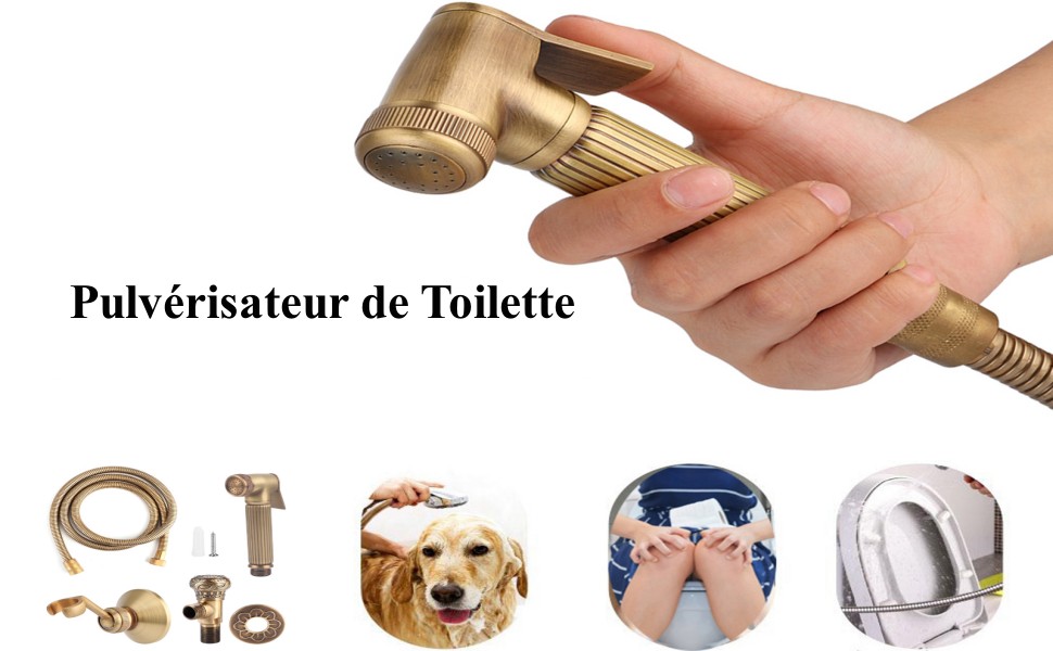 pulvérisateur de toilette