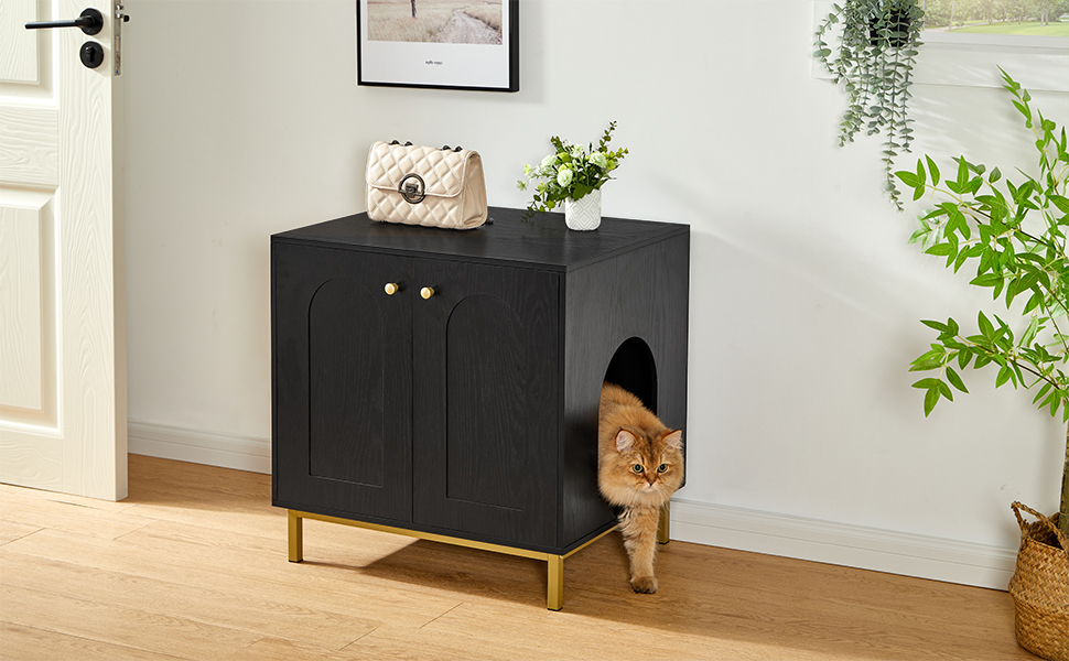 Toilette per gatti