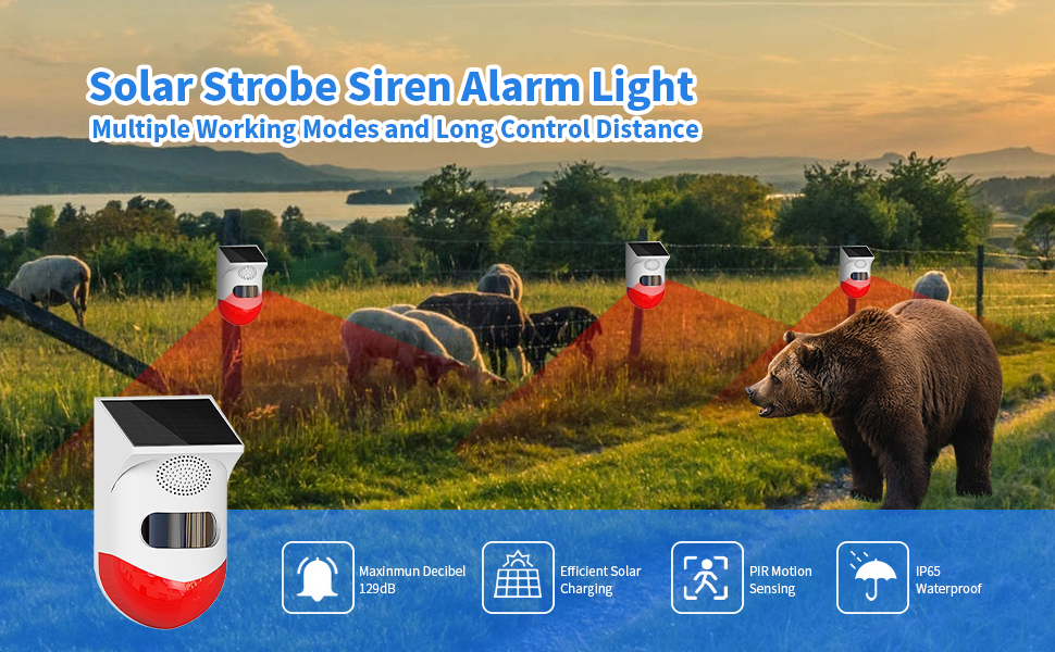 Alarma de luz y sonido infrarroja
