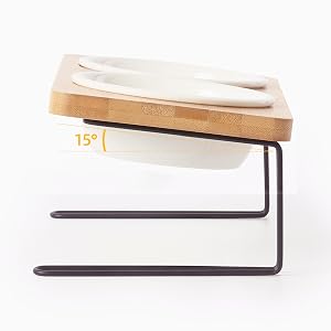 Cuvette surélevée inclinée à 15°