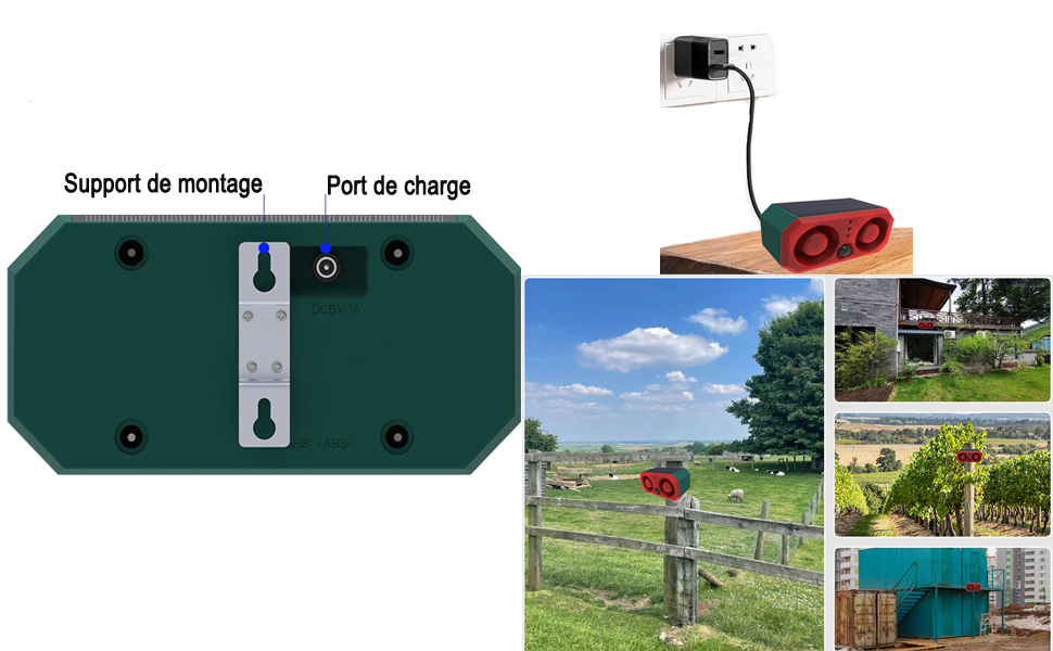 Bewegungsmelder für Hundegebell