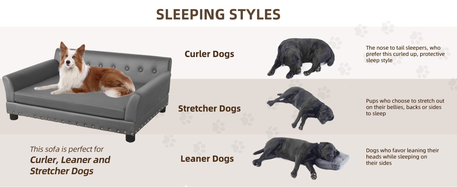 BingoPaw cama perro sofá