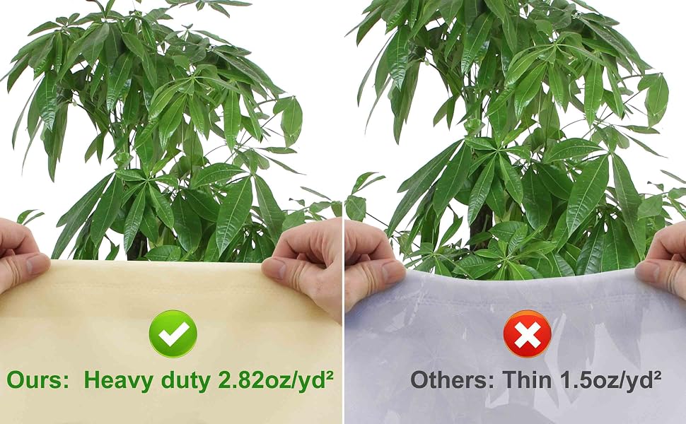 plant covers freeze protection