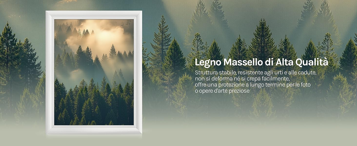 Il testo recita «Leone Messanile di Alta Qualità». Fotografia incorniciata di paesaggio forestale con alberi sempreverdi nebbiosi in luce dorata, visualizzata su uno sfondo boschivo nebbioso.
