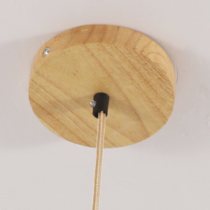 lampadario soffitto