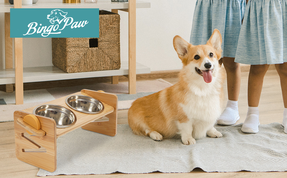 Ciotole Rialzate Vantic Per Cani E Gatti - Altezza Regolabile Con 2 Ciotole In Acciaio - Foto 9