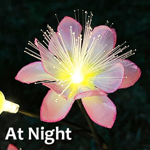 At night
