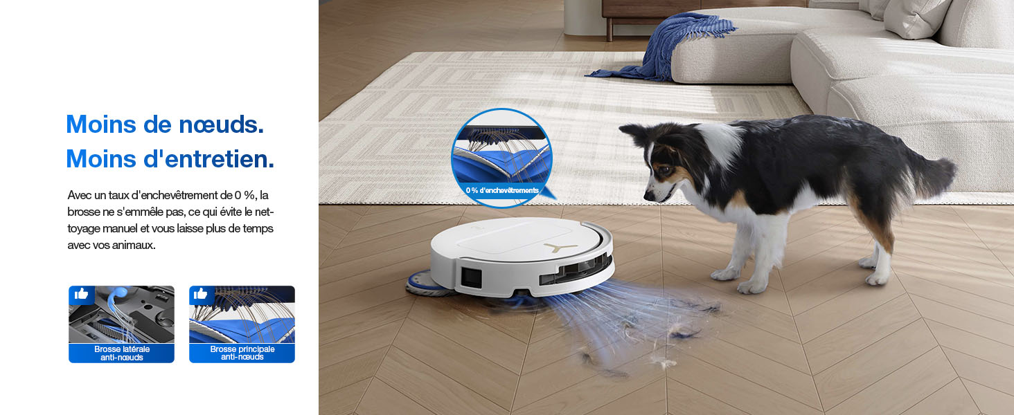 Le texte indique « Mimo de cuidado » et « Mimo de tecnología ». L'image montre un appareil robotique blanc avec un sommet bleu observé par un chien noir et blanc sur un sol clair.