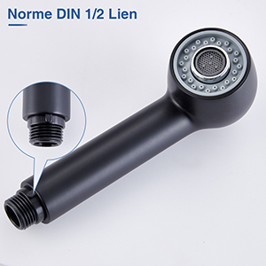 Douchette Robinet