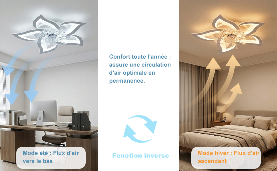 Trois styles de luminaires sont présentés : plafonnier moderne blanc (à gauche), plafonnier doré chaud avec motif en arc (au centre) et plafonnier mural doré en forme d'étoile (à droite) avec réglages intérieurs de la pièce.