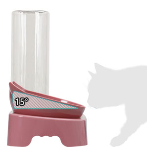 bol pour chat