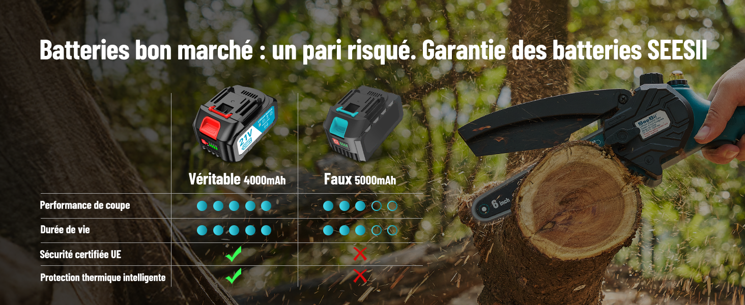 Mini Tronçonneuse à Batterie