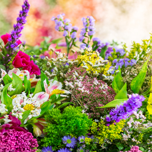 Vertical Garden Planter Removable Pale Green Raised Bed Box with 5 Container Boxes