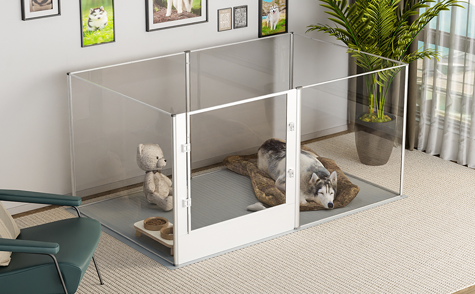 BingoPaw Recinto Box per cani XXL: Recinto Sala Parto per Cane Cuccioli Acrilico
