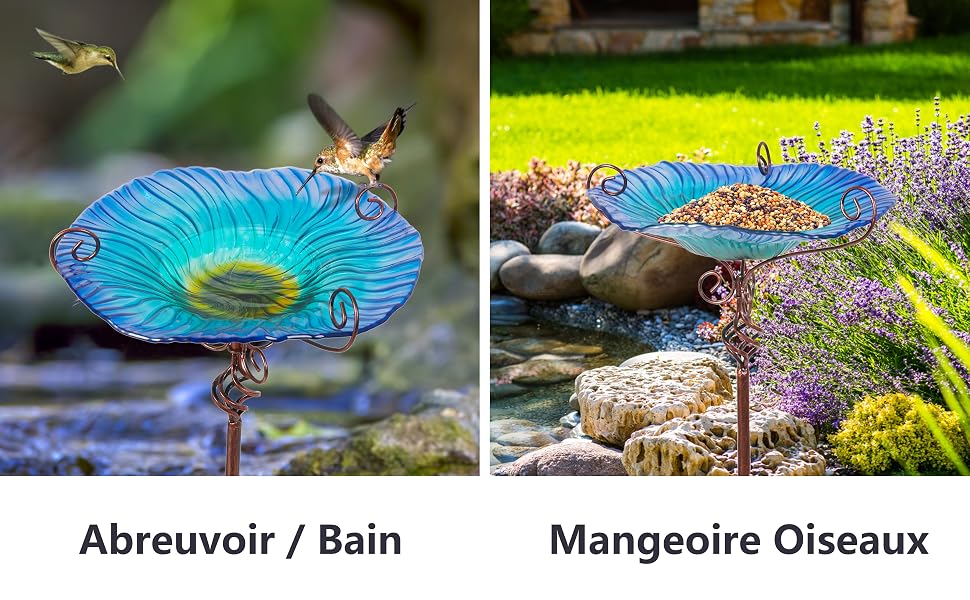 bain oiseau