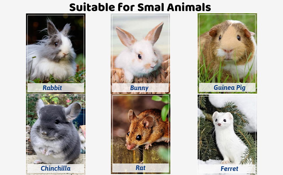 distributeur eau lapin