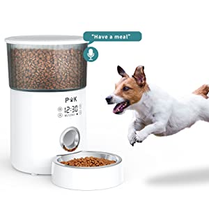 Distributeur de Croquettes pour Chat