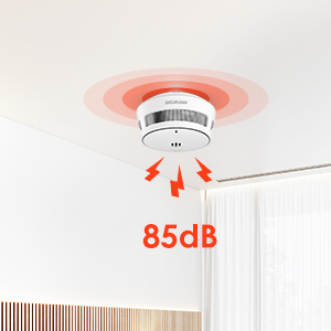 avec éclairage rouge et ondes sonores. Le graphique montre un niveau sonore de 85 dB et des icônes en forme d'éclair indiquent l'activation de l'alarme