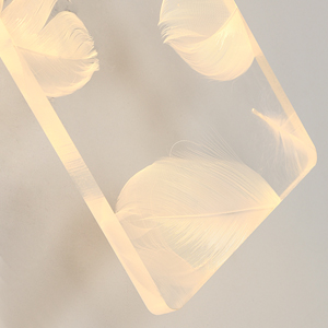 Plumes Blanches Naturelles