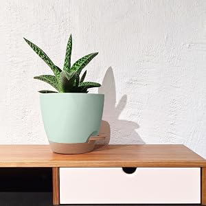 Pot à eau automatique