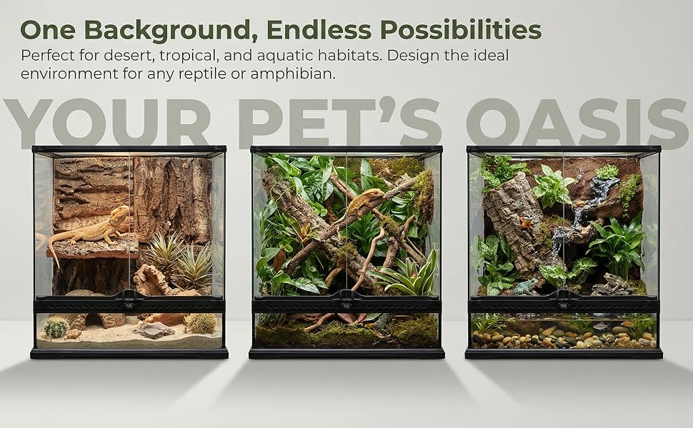 Text reads 'One Background, Endless Possibilities'. Shows progression of interior design staging with plants and furniture against consistent background setting.