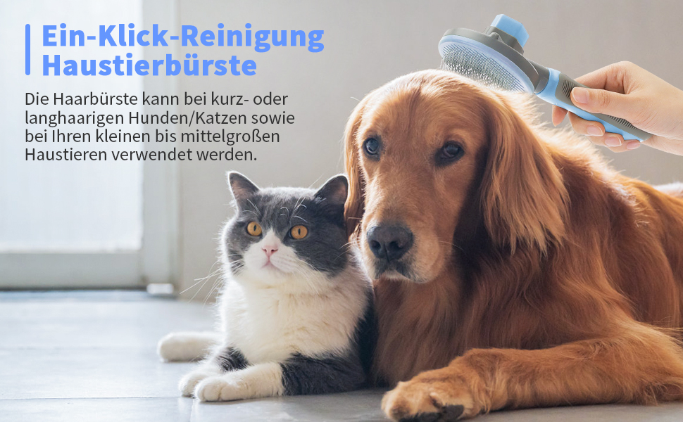Katzenbürste Hundebürste