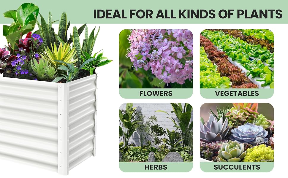 Garden Bed