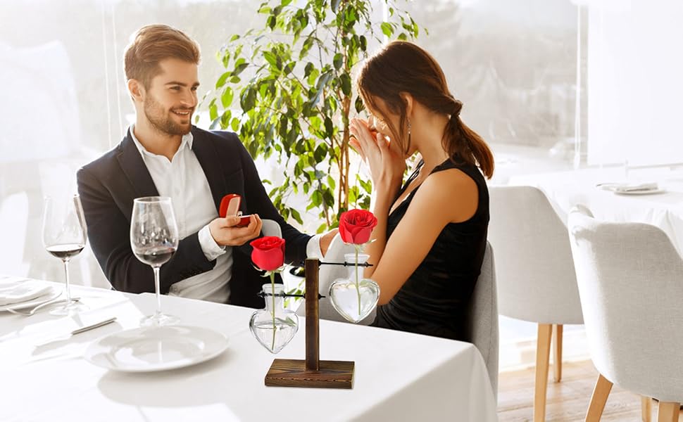 Plant Terrarium for Dining room