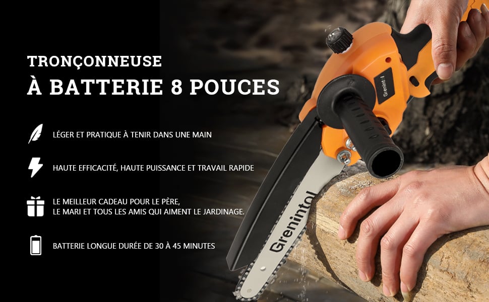 Grenintol Tronçonneuse Électrique sans Fil, Mini Tronçonneuses à Batterie 24V avec 2 Chaînes